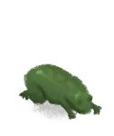 The Frog collectible, a green frog crouched low to the ground.